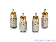 Aura RCA-P601 6мм. вход