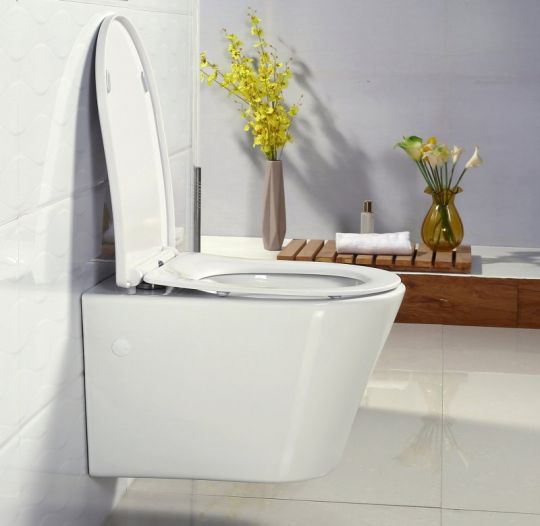 Безободковый унитаз BelBagno Flay-R (Флэй-Р) BB506CH схема 4