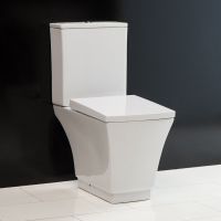 Безободковый унитаз BelBagno Regina (Регина) BB104CP схема 1