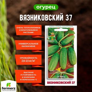 Семена Огурец Вязниковский 37 15шт.