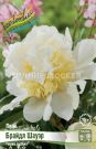 Pion-Brajdl-Shaujer-BRIDAL-SHOWER-2-3-n-1-sht