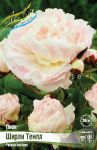 ​Пион ШИРЛИ ТЕМПЛ (SHIRLEY TEMPLE), 2/3 n, 1 шт