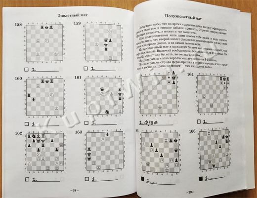 мат королю в 1 ход