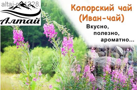 Иван- чай - чай русских царей