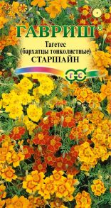 Тагетес (бархатцы тонколистные) Старшайн, смесь (Гавриш)