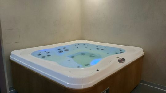 Спа бассейн Jacuzzi Profile Pro 239х215 схема 1