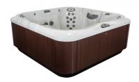 Спа бассейн Jacuzzi J385 231х231 схема 1