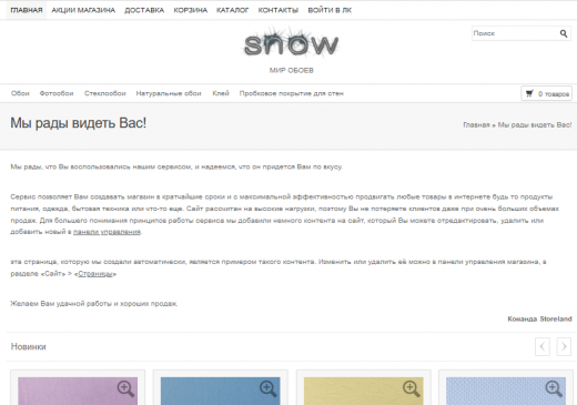 Шаблон интернет-магазина "Снег"