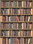 Фон стена "Library wall 3"