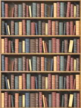 Фон стена "Library wall 3"