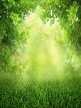 Фон стена "Grass wall"