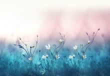 Фон стена "Tumanwall"