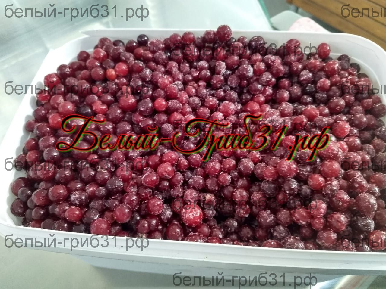 Клюква замороженная — купить натуральные ягоды с доставкой | Белый Гриб 31