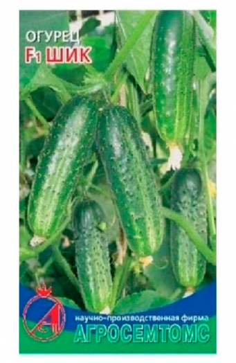 Огурец Шик