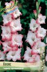 GLADIOLUS-HeOPS-CHEOPS-10-12-8-sht