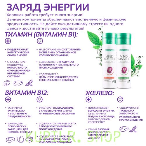 Майнд Мастер «Зеленая формула»