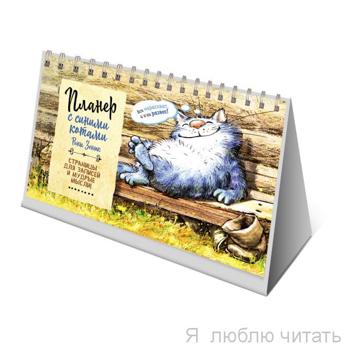 Планер с синими котами. Кот на завалинке