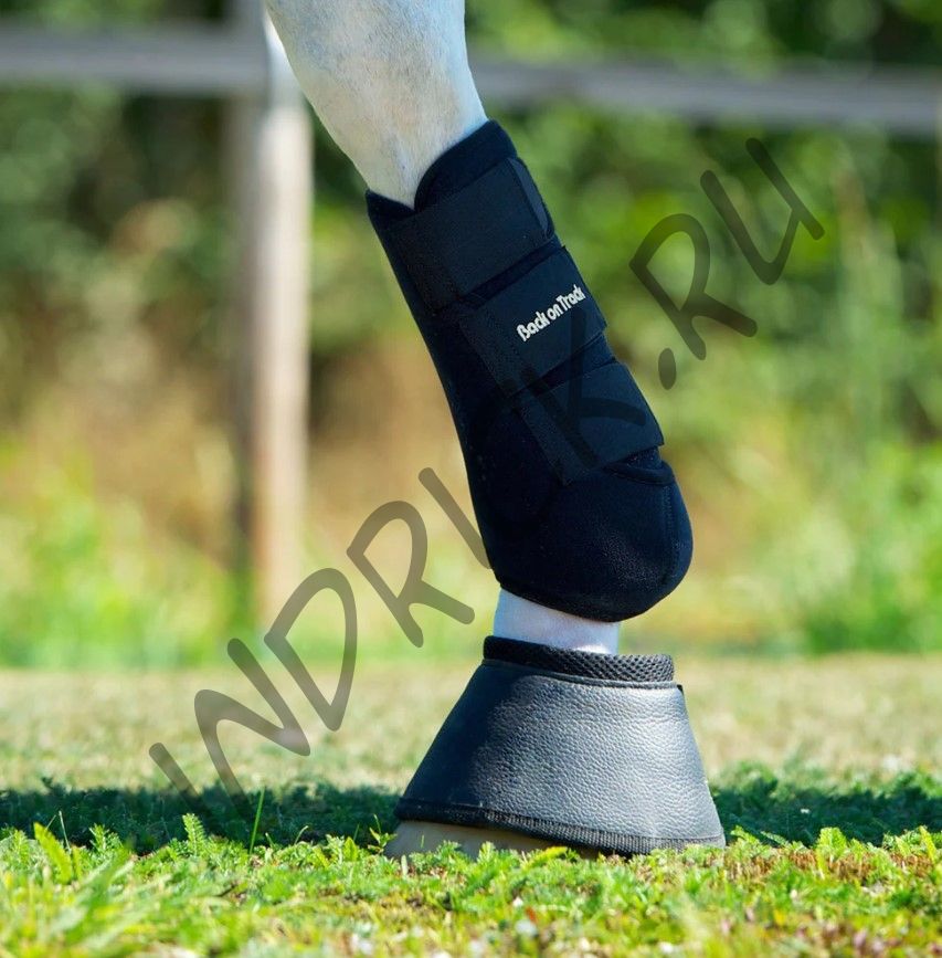 Анатомические ногавки Back on Track Opal зад черные