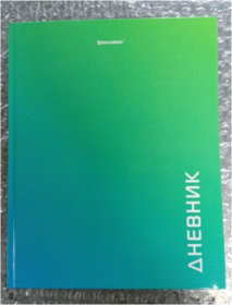 Дневник школьный