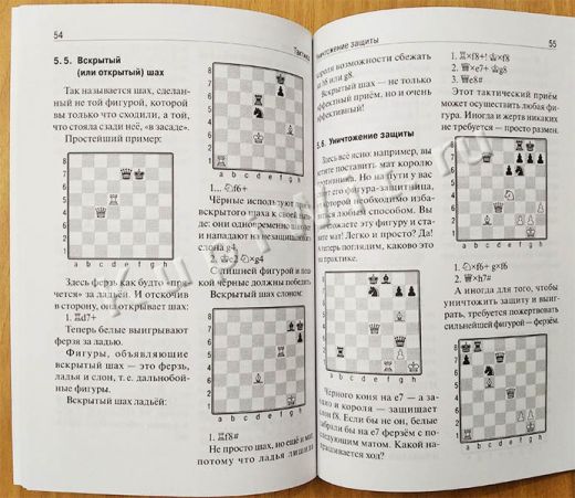 Шахматы: с чего начать?