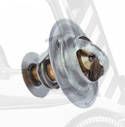 *Термостат Nissan К15/K25  /WV54BN765.Кайман), шт