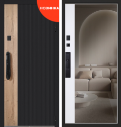 Дверь входная Конструктор с зеркалом и биометрическим замком