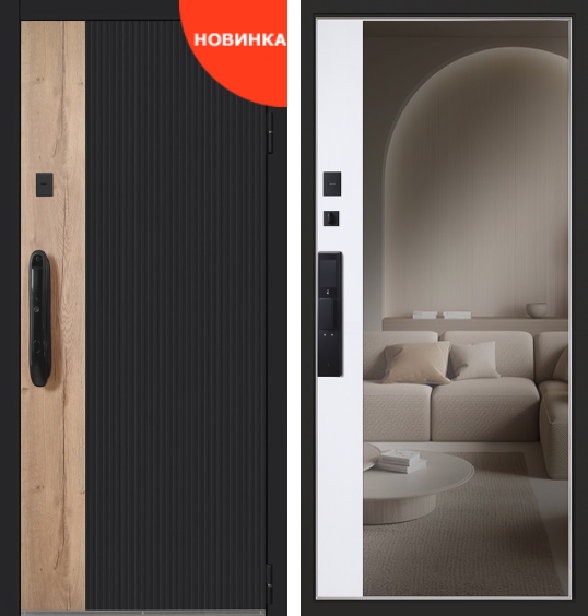 Дверь входная Конструктор с зеркалом и биометрическим замком