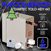 Парогенератор для хамама Steamtec TOLO KEY 60 - 6 кВт, стандартный модуль управления