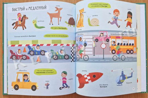 Найди и покажи. Первая книга