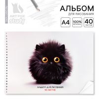 Альбом для рисования 40 листов на пружине А4 «Черный пушистик»