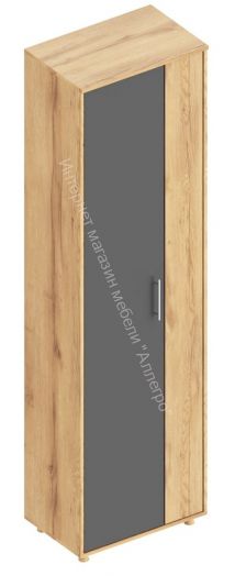 Шкаф "Граф" 2-х створчатый для одежды Тёмно серый/Дуб золотистый