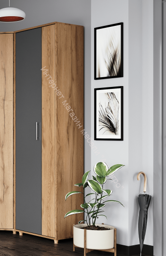Шкаф "Граф" 2-х створчатый для одежды Тёмно серый/Дуб золотистый
