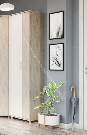Шкаф "Граф" 2-х створчатый для одежды Перламутр/Дуб баррик