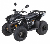 Квадроцикл BALTMOTORS Jam 100