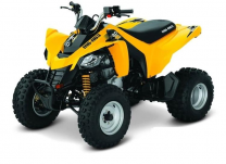 Квадроцикл BRP DS 250 СНЯТ С ПРОИЗВОДСТВА