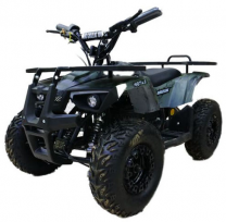 ЭлектроКвадроцикл MOTAX Grizlik Х16 New E1000 Big Wheel