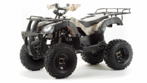 Квадроцикл Bison ATV 200