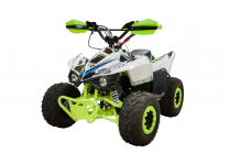 Квадроцикл RACER RC 110 COYOTE