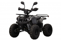 Квадроцикл UNIVERSAL ATV 125 TM Classic