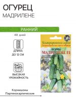 Семена Огурец "Мадрилене",  F1, 6 шт