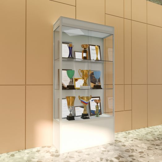 Шкаф-витрина для музеев 1000х360х2000 мм