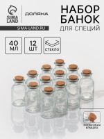 Набор баночек для специй с пробковой крышкой Доляна «Парфе», 40 мл, 4?6.6 см, 12 шт., стекло