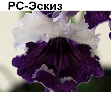 РС-Эскиз