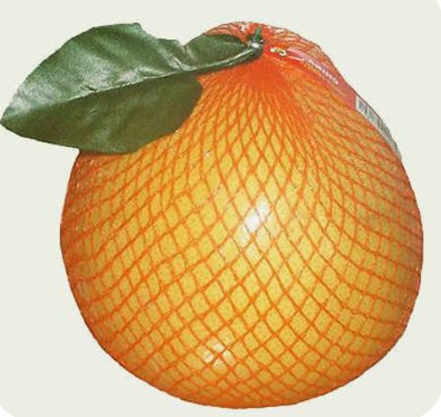 Помело