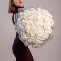 25 хризантем белых в упаковке