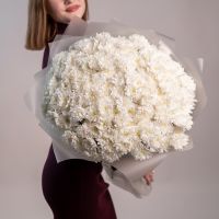 35 хризантем белых в упаковке