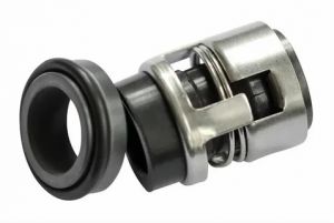 Торцевое уплотнение TPD 65-120/2 A-F-A-BUBE