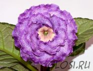 ЕН-Луна в Ажуре (сел.Е.Николаева) Новинка 2024!