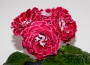 ЕН-Валюша (сел.Е.Николаева)