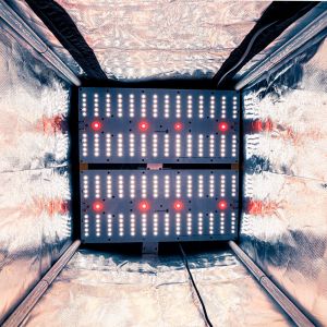 Комплект Quantum board Sunlike 360 Вт (6х60)